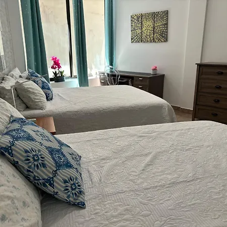 2Br Downtown High Ceiling Free Parking And Wifi Apartment